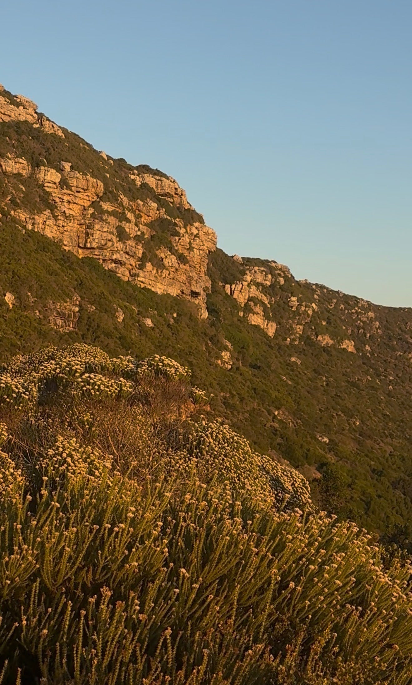 Golden Dunes Kristallklangschale
